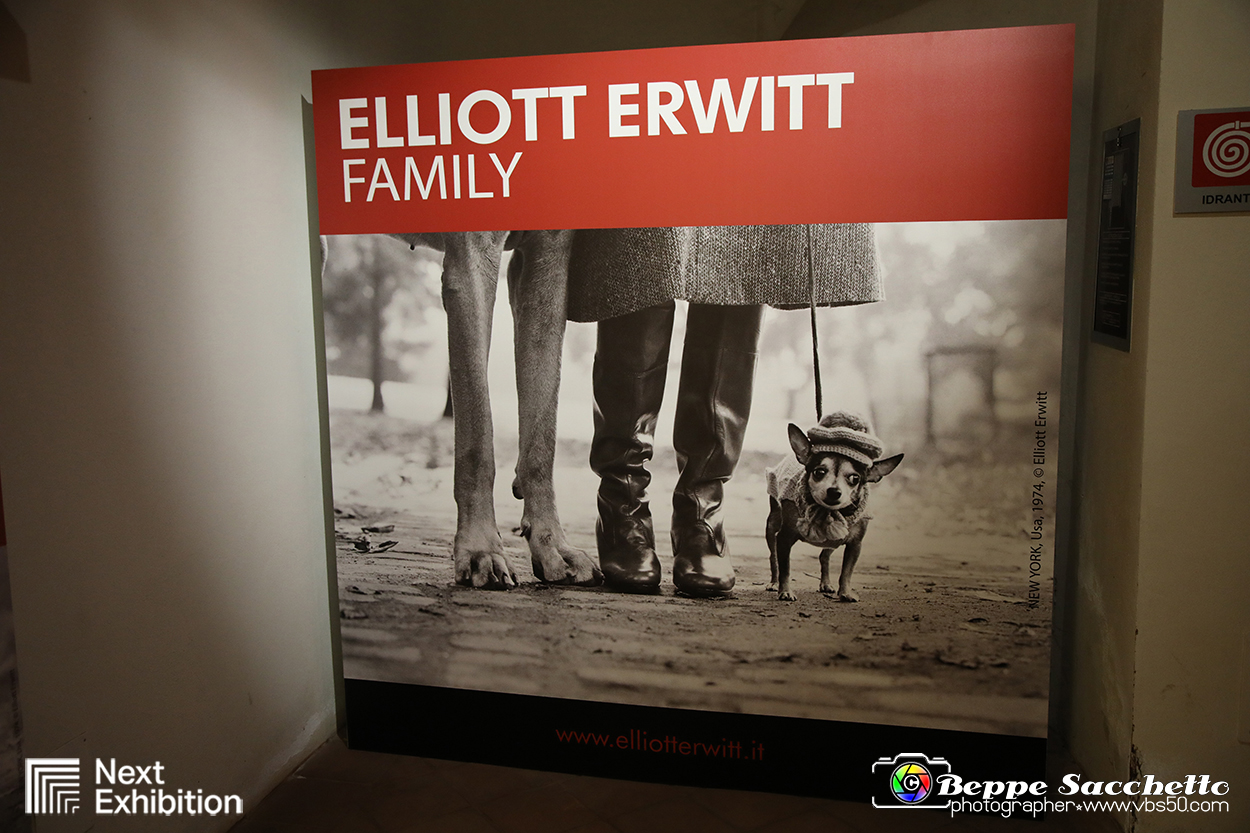 VBS_9563 - Mostra Elliott Erwitt - Family.jpg